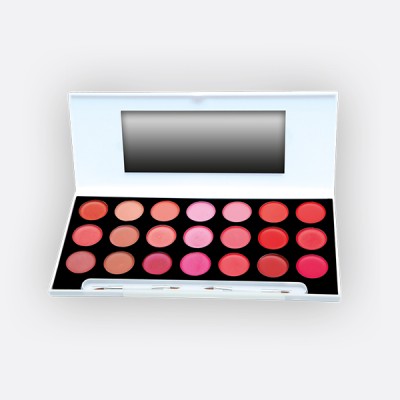 Παλέτα Κραγιόν - 21 Matte & Shiny αποχρώσεων 850