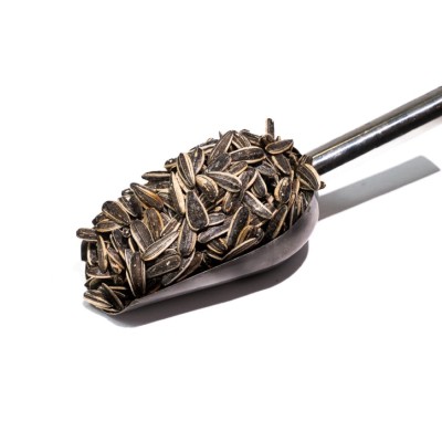 ηλιοσπορο500gr 